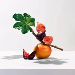 Parfum Naturel & Eco-Responsable><noscript><img width=