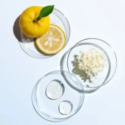 Soin Jour & Nuit|Soin De Jour><noscript><img width=