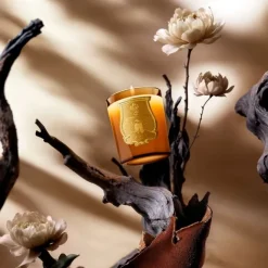 Bougie Parfumée><noscript><img width=