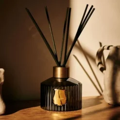 Parfum D'Ambiance & Diffuseur D'Intérieur>Trudon Ernesto                Diffuseur