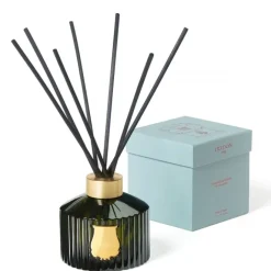 Parfum D'Ambiance & Diffuseur D'Intérieur>Trudon Ernesto                Le Grand Diffuseur