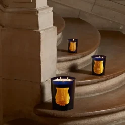 Bougie Parfumée><noscript><img width=