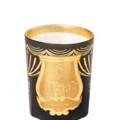 Coffrets Pour Lui|Coffrets Pour Elle>Trudon Fir - Sapin de Noël                Bougie Parfumée Intermède