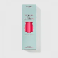 Chandelle & Cierge>Trudon Madeleine Fuschia                Chandelle