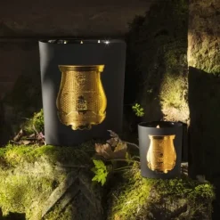 Bougie Parfumée><noscript><img width=