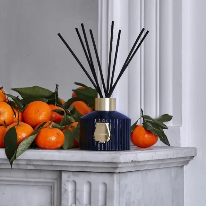 Coffret Maison|Parfum D'Ambiance & Diffuseur D'Intérieur>Trudon Reggio Diffuseur d'Ambiance