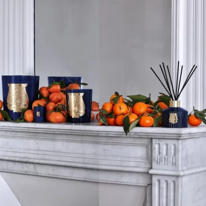 Coffret Maison|Parfum D'Ambiance & Diffuseur D'Intérieur>Trudon Reggio Diffuseur d'Ambiance