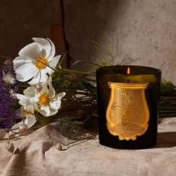 Bougie Parfumée>Trudon Solis Rex                Bougie Parfumée