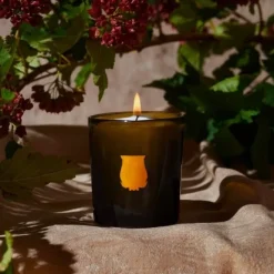 Bougie Parfumée><noscript><img width=