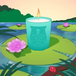 Bougie Parfumée><noscript><img width=