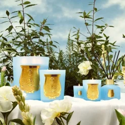 Bougie Parfumée><noscript><img width=