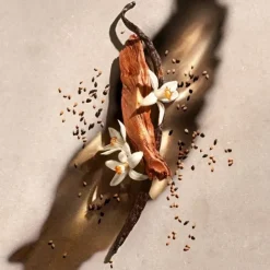 Parfum Naturel & Eco-Responsable|Eau De Parfum><noscript><img width=